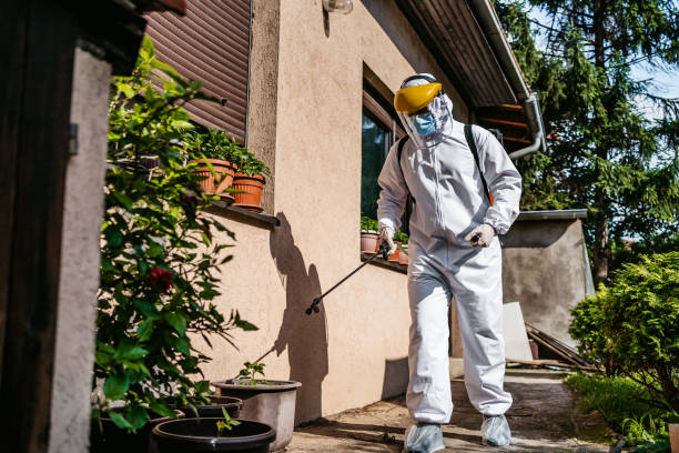Best Exterminator Services  in Lake Kiowa, TX