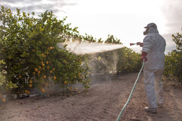Best Cockroach Control Services  in Lake Kiowa, TX