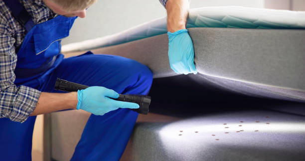 Trusted Lake Kiowa, TX Pest Control Experts