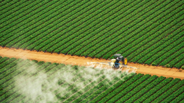 Best Pest Prevention Services  in Lake Kiowa, TX