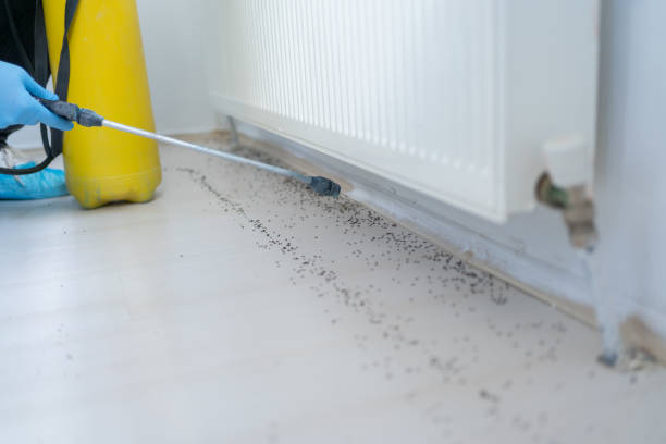 Best Residential Pest Control  in Lake Kiowa, TX