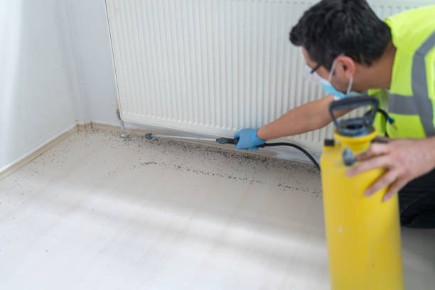 Best Ant Control Services  in Lake Kiowa, TX